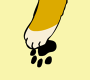 “paw”