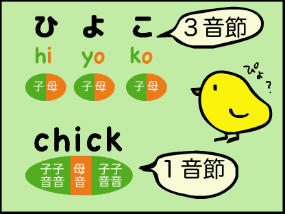 ひよこは３音節だけど、chickは１音節